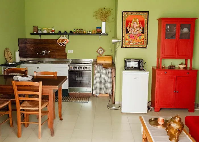 Shiva Alcamo